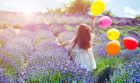 Vergoeding onderwijsondersteuning Zieke Leerlingen (OZL)